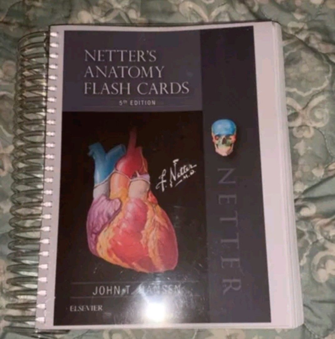Netters Anatomy Flashcards, Hobbies & Toys, Books & Magazines