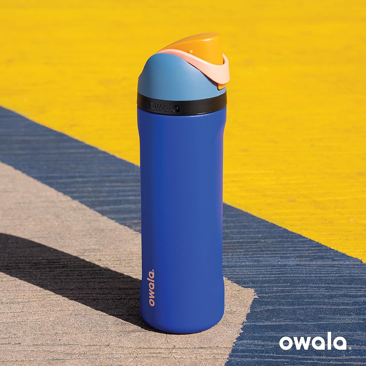 Owala FreeSip Insulated Stainless Steel Water Bottle with Straw for Sports  and Travel, BPA-Free, 32oz, Dreamy Field