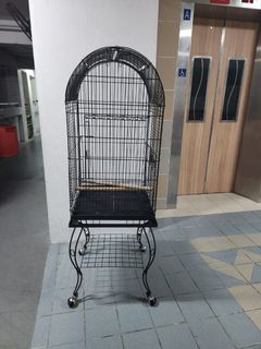 (Category: ) located in . Submitted by opssie (Listing ID 1246748015, Image 1). Description: .
