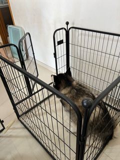 (Category: ) located in . Submitted by rayofsunshine27 (Listing ID 1246591584, Image 1). Description: .
