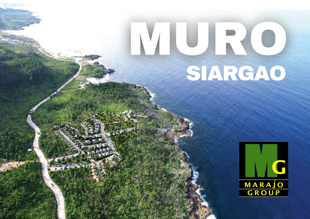Siargao lots for Sale with great sea view on Carousell