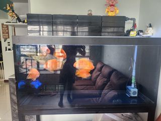 (Category: ) located in . Submitted by harrick (Listing ID 1250022071, Image 1). Description: .
