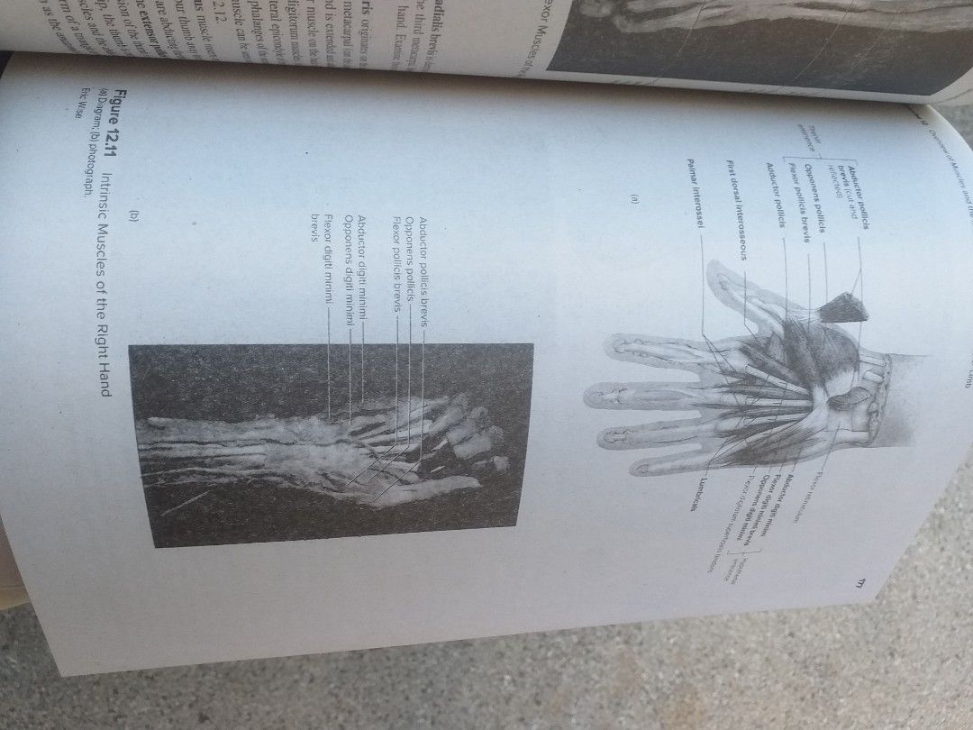 ANATOMY AND PHYSIOLOGY LAB. MANUAL BY WISE (Category: Textbooks) located in Manila. Submitted by cutemaster2020 (Listing ID 1250045283, Image 2). Description: .