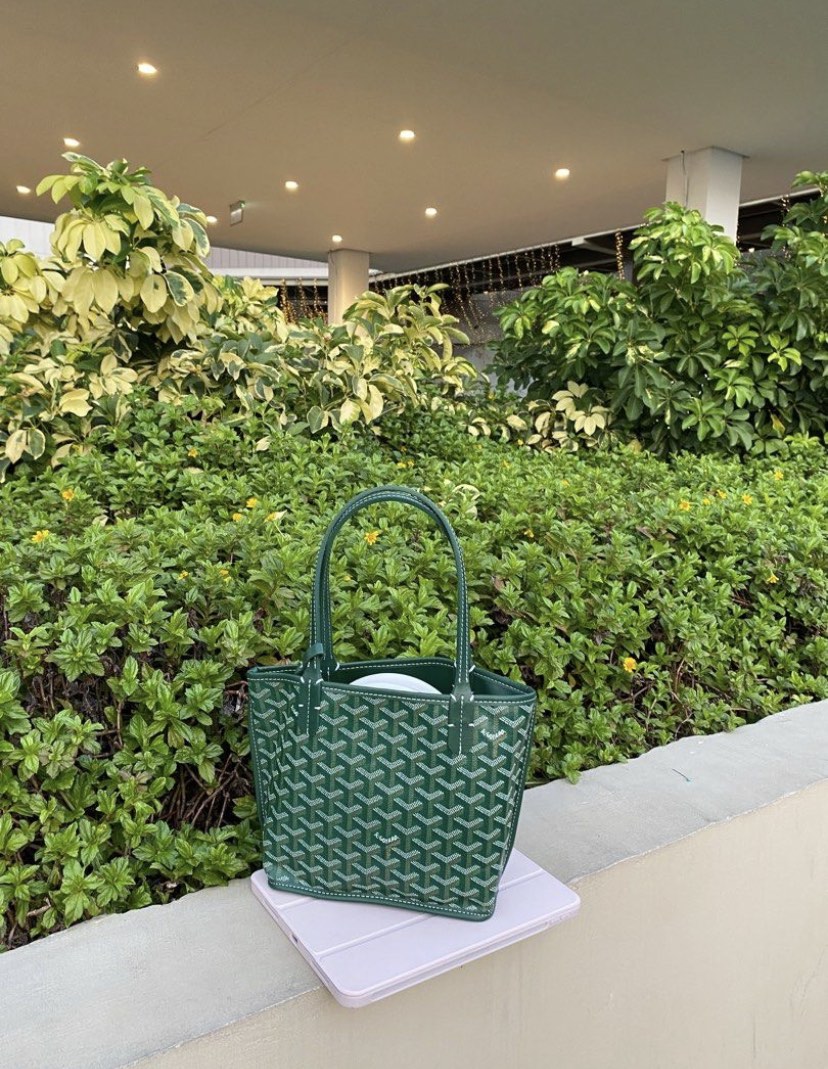 Anjou Mini Goyard (Green), Women's Fashion, Bags & Wallets