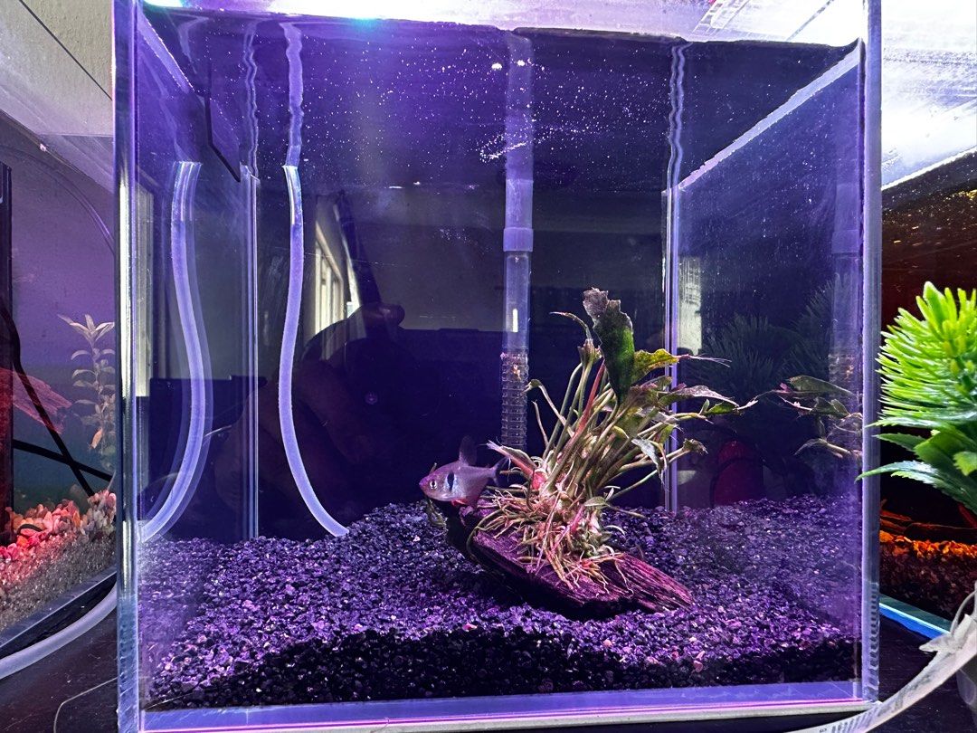 Aquarium accessories for sale sale