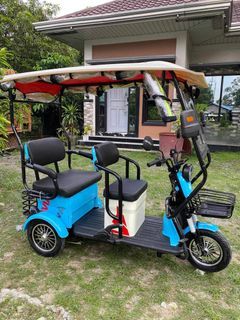 AVIA  CRUISE  ETRIKE 😱 ₱  36,000  Automatic wiper Removable battery  3 wheels,2 rows  with ROOF!