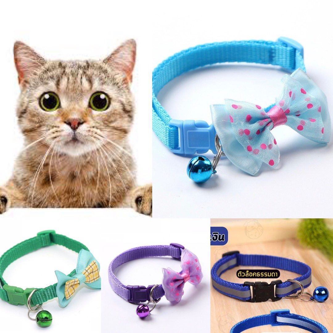 Kitten neck hot sale band