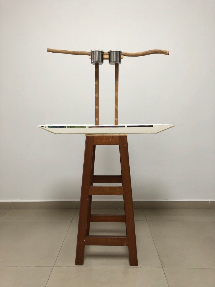 Picture of Custom made parrot stand with tray, Pet Supplies, Homes & Other Pet ...