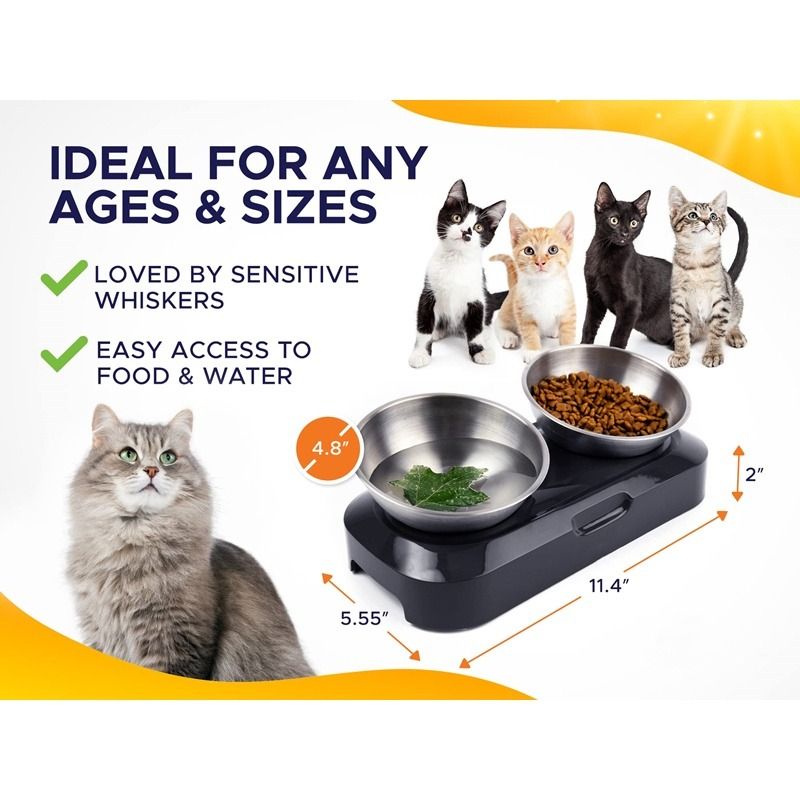 Elevated Cat Bowls with 2 Stainless Steel Bowls 15 Tilted