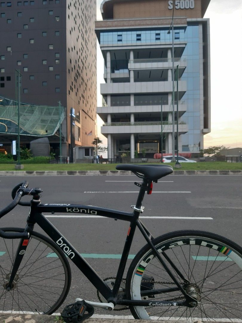 FIXIE BRAIN K NIG ALLOY RINGAN