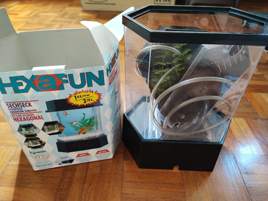 Hexagonal Aquarium, Pet Supplies, Homes & Other Pet Accessories on