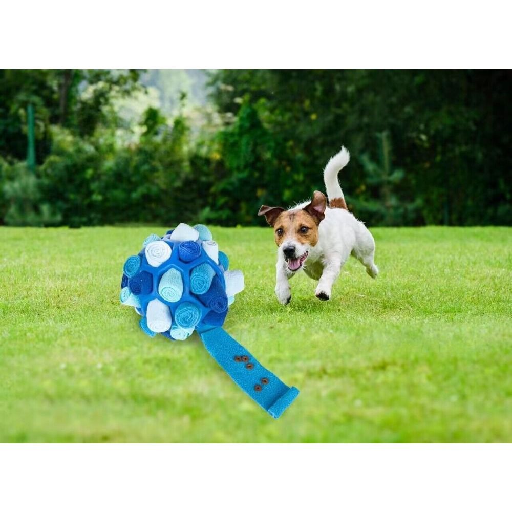 Foraging balls cheap for dogs