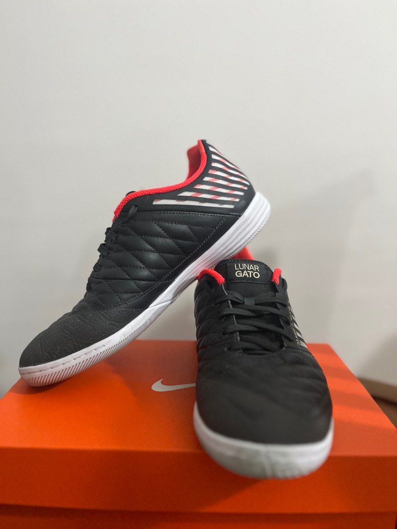 Lunar gato 2025 2 2019