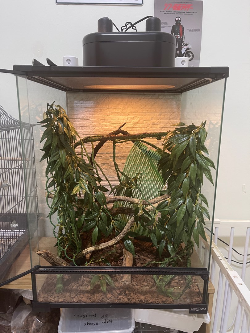 ReptiZoo Terrarium & Light Dome, Pet Supplies, Homes & Other Pet