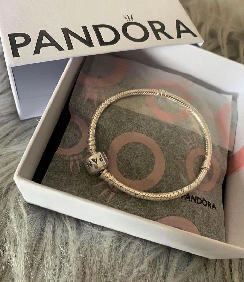 Pandora charm bracelet sale hot sale