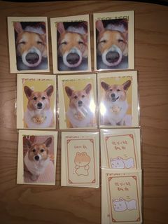 （分類：）位於 。 由 beakhyan 提交（商品編號 1250128607，圖片 1）。簡介： 。