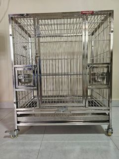 (Category: ) located in . Submitted by genesispets (Listing ID 1250198552, Image 1). Description: .