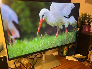 （分類：）位於 。 由 donip222 提交（商品編號 1250336968，圖片 1）。簡介： 。