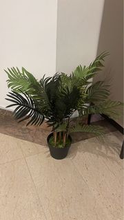 (Category: ) located in . Submitted by naina1 (Listing ID 1250288617, Image 1). Description: .