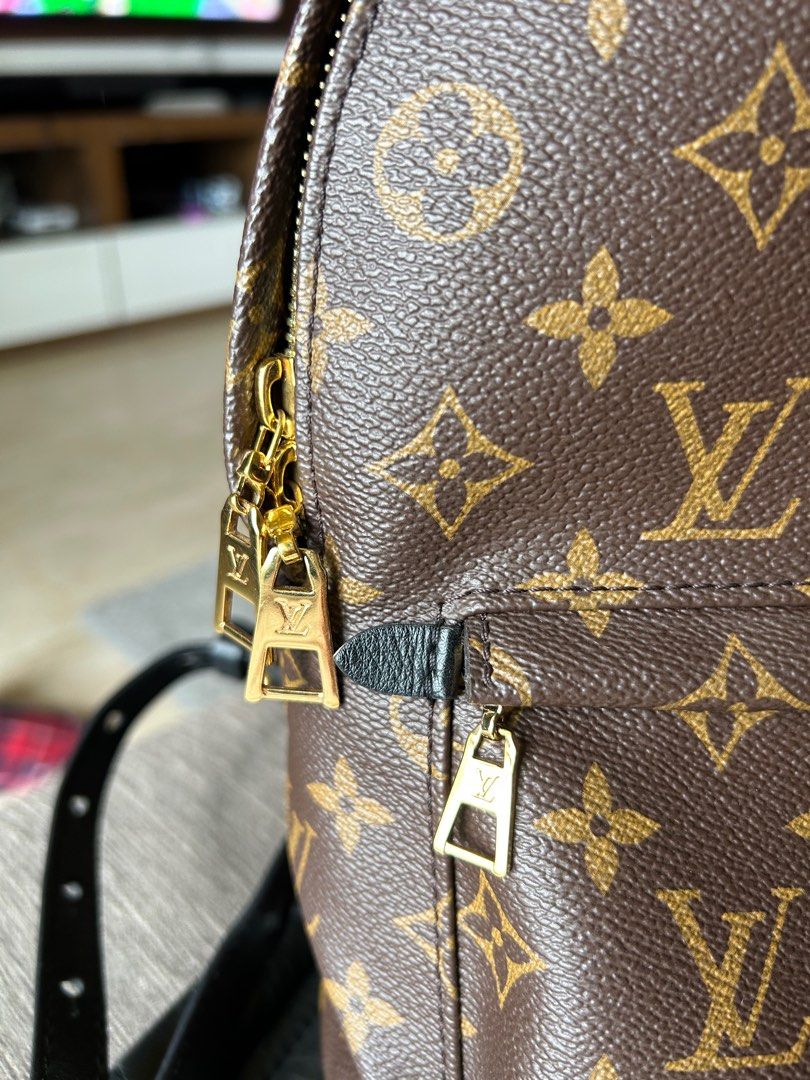 Louis Vuitton Monogram Mini Palm Springs Backpack M44873  Louis vuitton, Louis  vuitton monogram, Louis vuitton handbags outlet