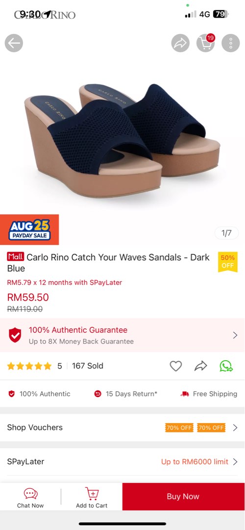 Carlo rina catch your waves