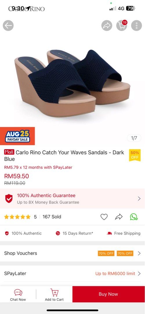 Carlo rina catch your waves