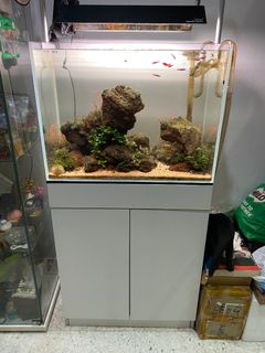 (Category: ) located in . Submitted by sadrushafie (Listing ID 1250358969, Image 1). Description: .
