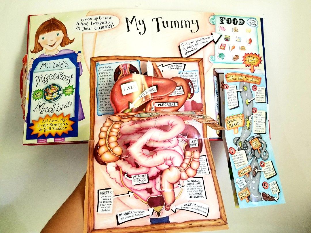 CHILDREN'S Book My Pop Up Body Book on Carousell