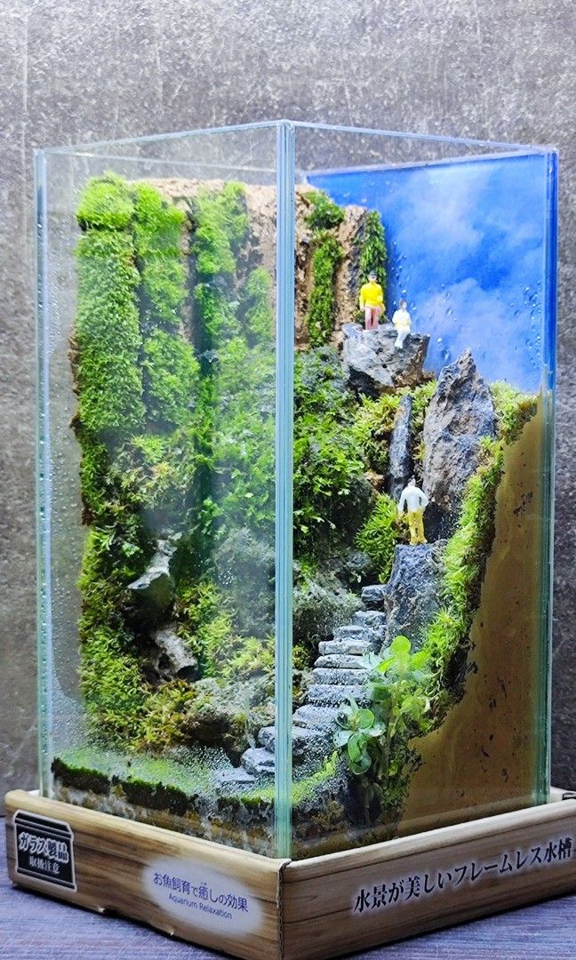 Enclosed Terrarium, Furniture & Home Living, Gardening, Plants & Seeds