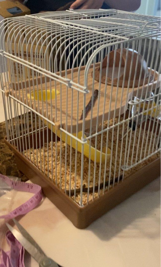 Hamster cage hotsell with slide