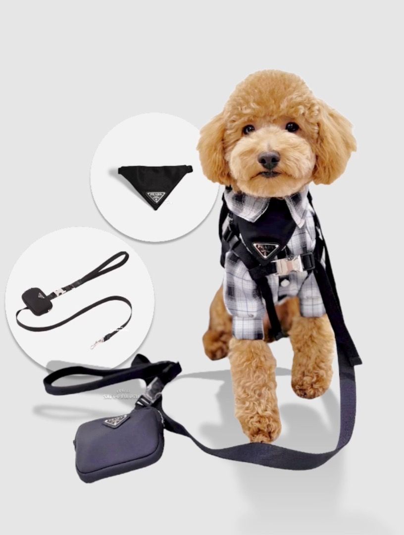 Prada Dog Cat Scarf Collar Leash Preorder Pet Supplies Homes Other Pet Accessories on Carousell