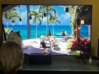 (Category: ) located in . Submitted by rae1333 (Listing ID 1250259178, Image 1). Description: .