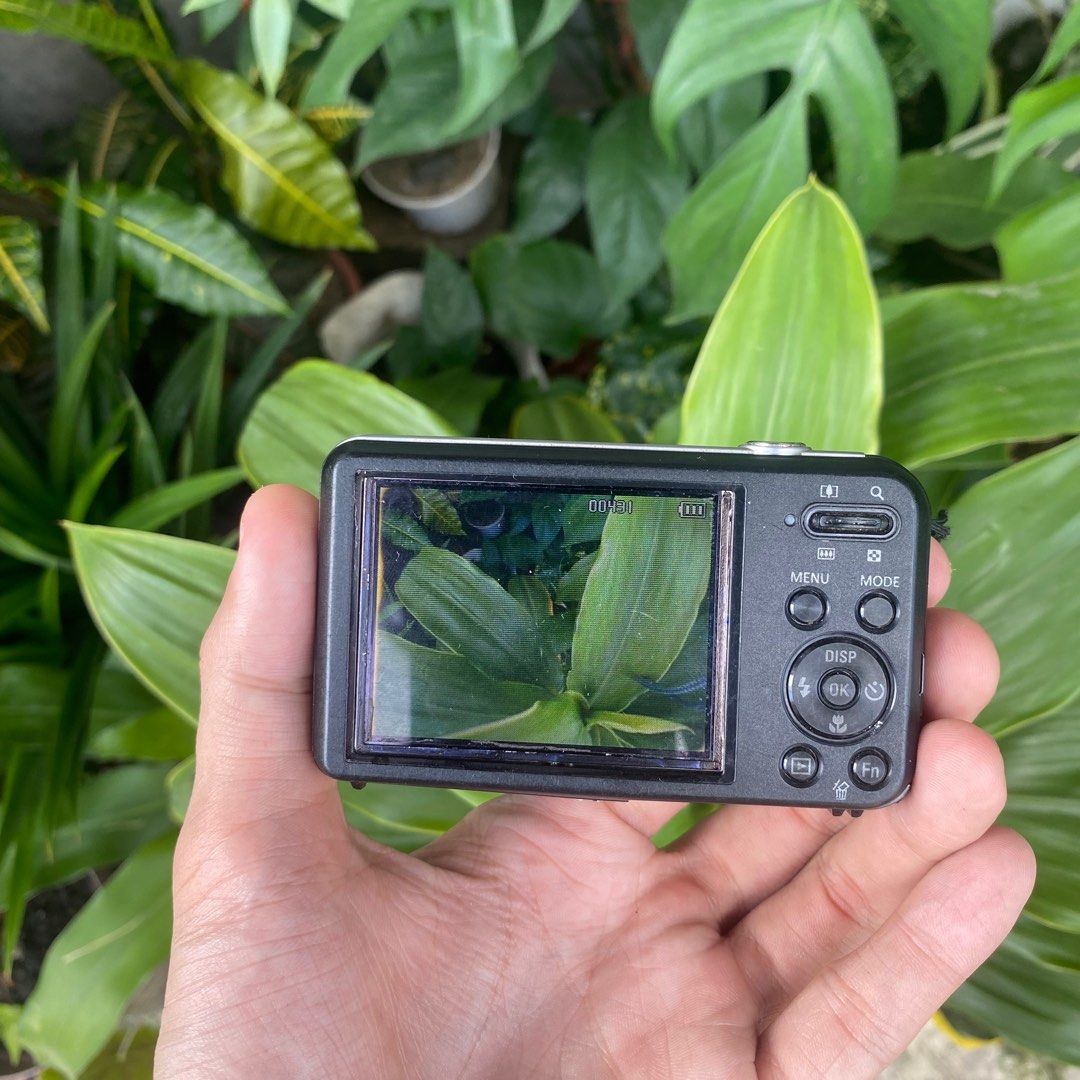 Digicamm Samsung PL120 Digicam on Carousell