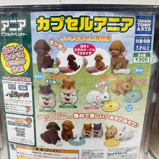（分類：）位於 。 由 becbectsui 提交（商品編號 1250371860，圖片 1）。簡介： 。