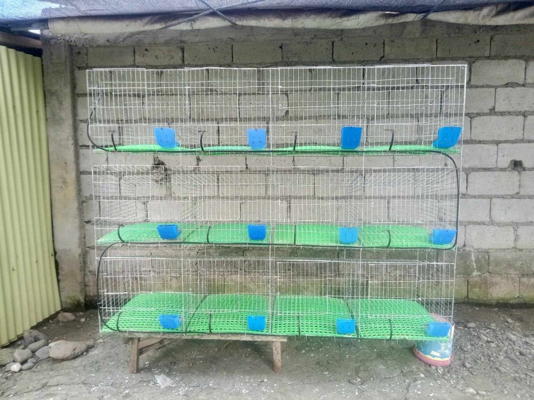 12 hole rabbit best sale cage