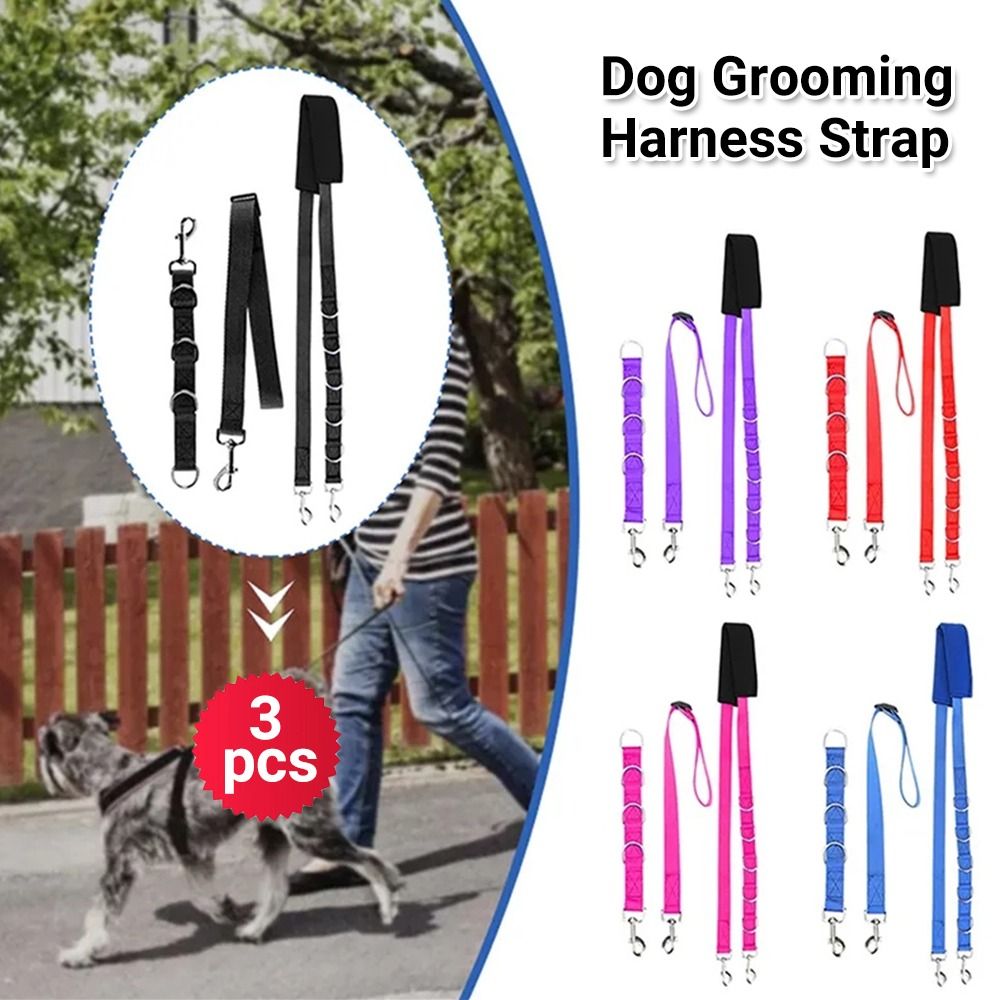 包郵** [3件套裝][藍色] 寵物美容套裝狗狗牽引繩狗鍊子狗洗澡用品[平行進口] ZZ0734, 寵物用品, 寵物家品及其他- Carousell