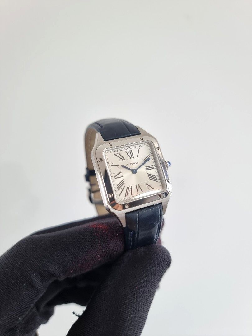 Cartier santos 100 2019 shop