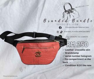 Chanel Crocodile skin Pouch