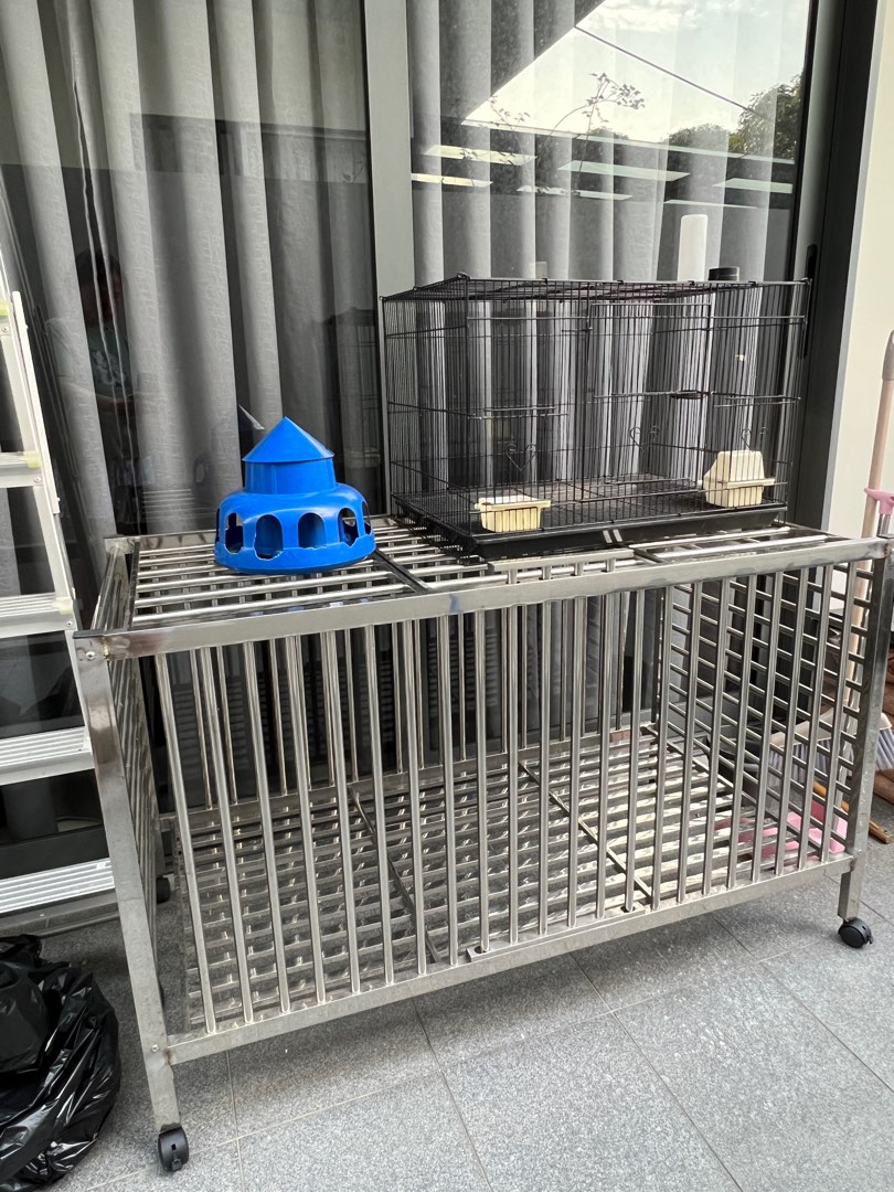 Chicken Cage, Pet Supplies, Homes & Other Pet Accessories On Carousell