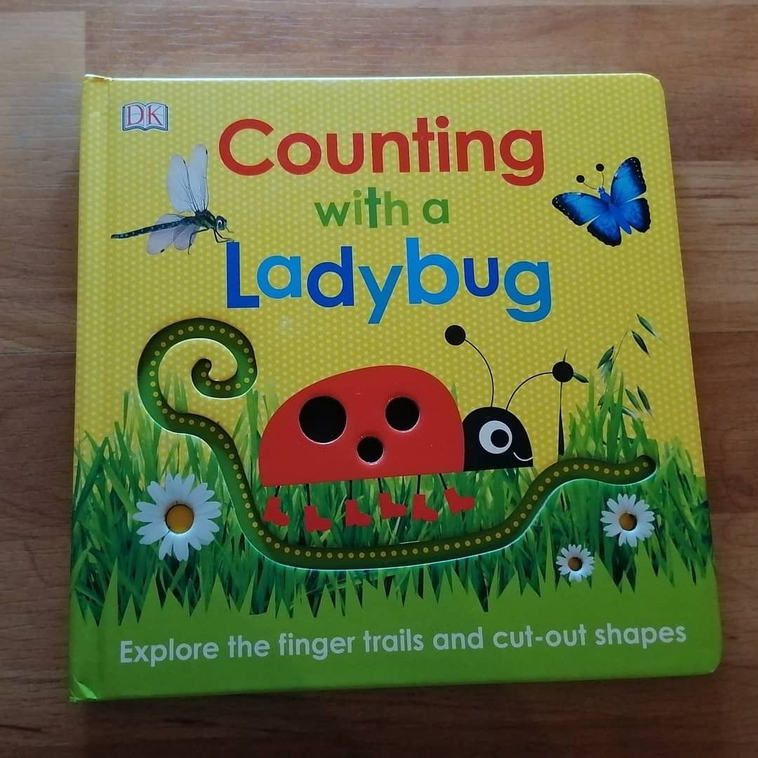 Dk Counting with a Ladybug, Hobbies & Toys, Books & Magazines, Children ...