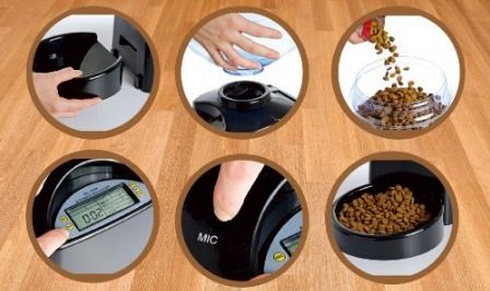 Electronic feeder top