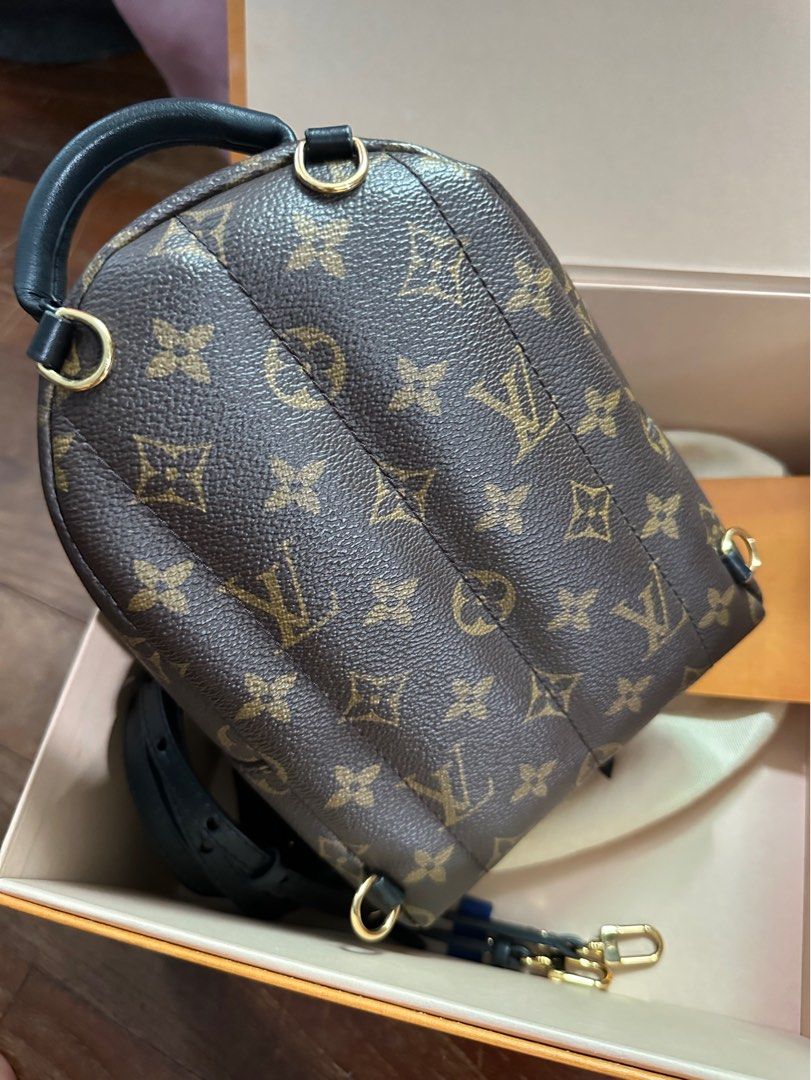 Louis Vuitton, Bags, Louis Vuitton Palm Springs Monogram Backpack  Crossbody Bag Ca58