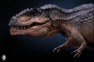 (Category: ) located in . Submitted by dinocollector (Listing ID 1250398984, Image 1). Description: .