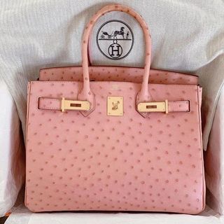 Hermes Kelly Sellier 25 Terre Cuite Handbag