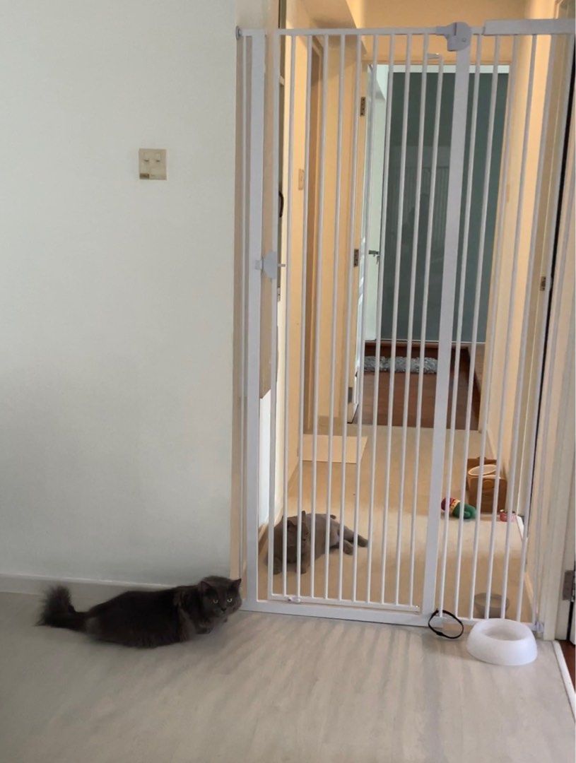 High top cat gate