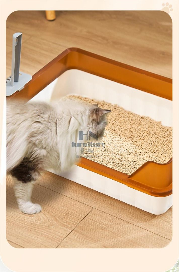 Cat accessories deals lazada