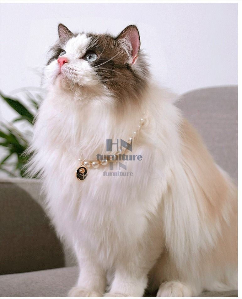 Cat top pearl necklace