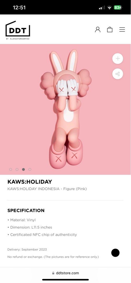 KAWS:HOLIDAY INDONESIA - Figure (Pink) 現貨, 興趣及遊戲, 玩具