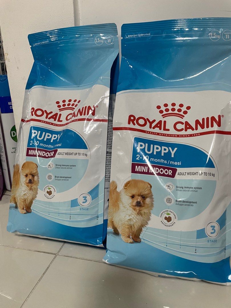 Royal canin puppy indoor online