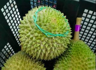 (Category: ) located in . Submitted by abcdurian (Listing ID 1250540693, Image 1). Description: .